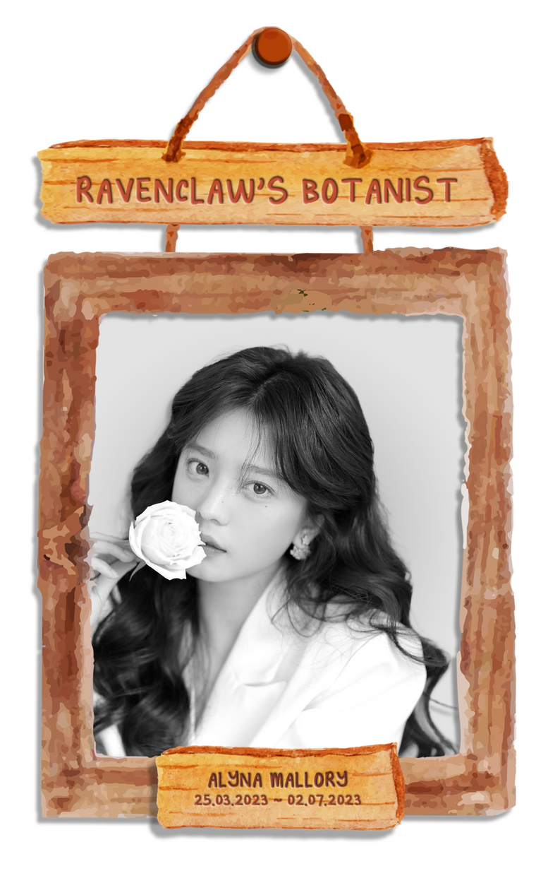 Ravenclaw's Botanist Ravenclaw's Botanist