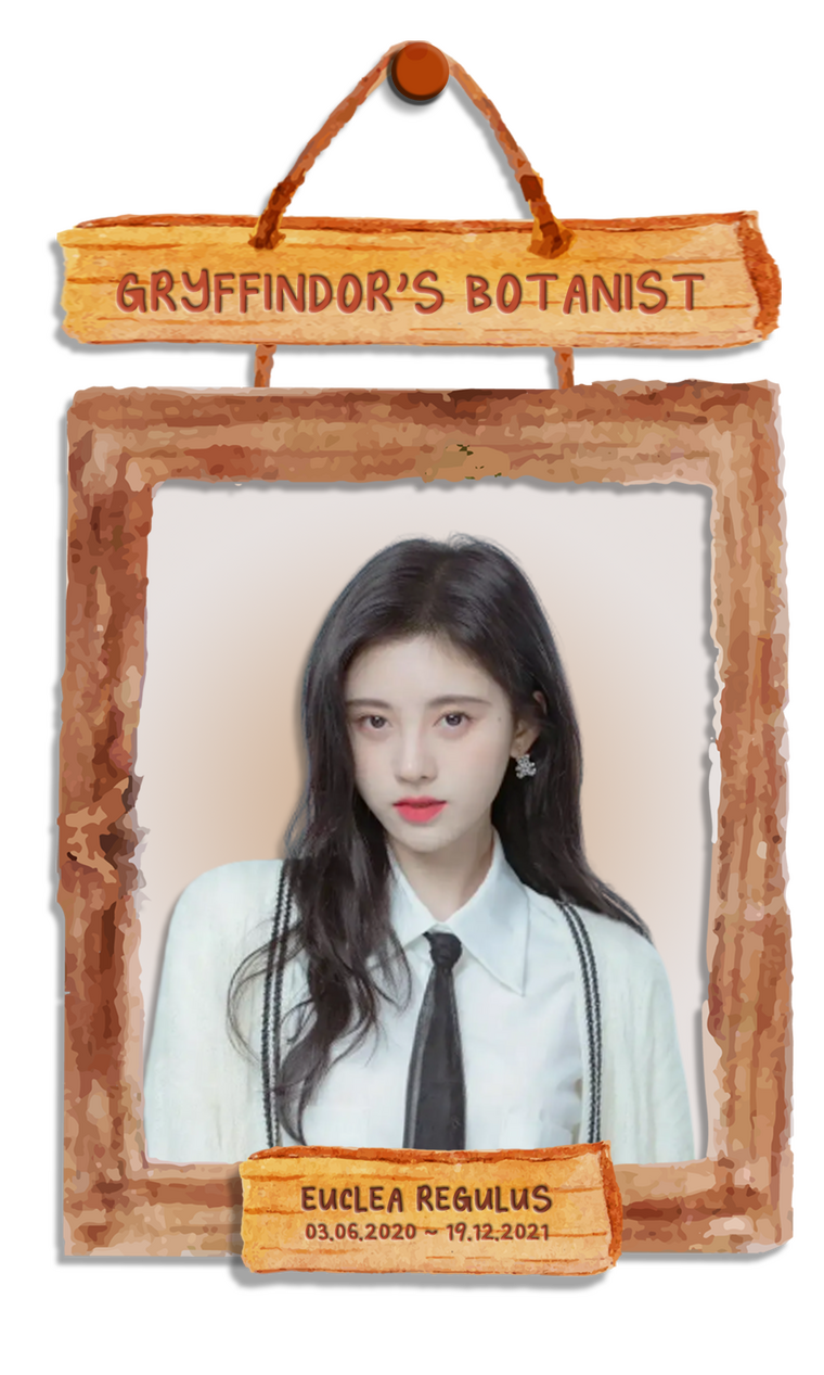 Gryffindor's Botanist Gryffindor's Botanist